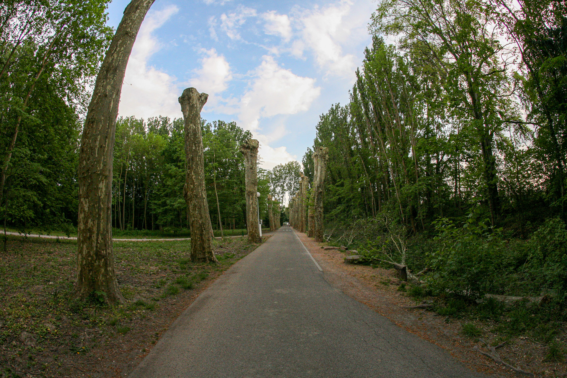 20070428173140 IMG 5125